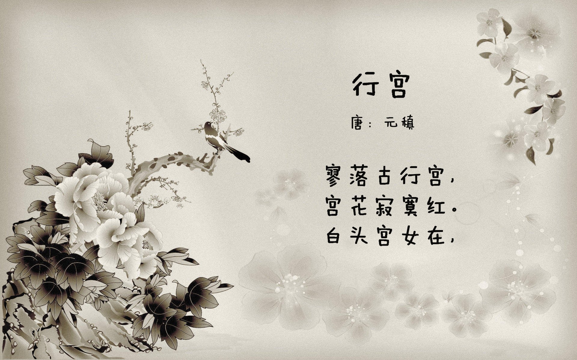 快船爆冷！，快船爆冷不敌鹈鹕