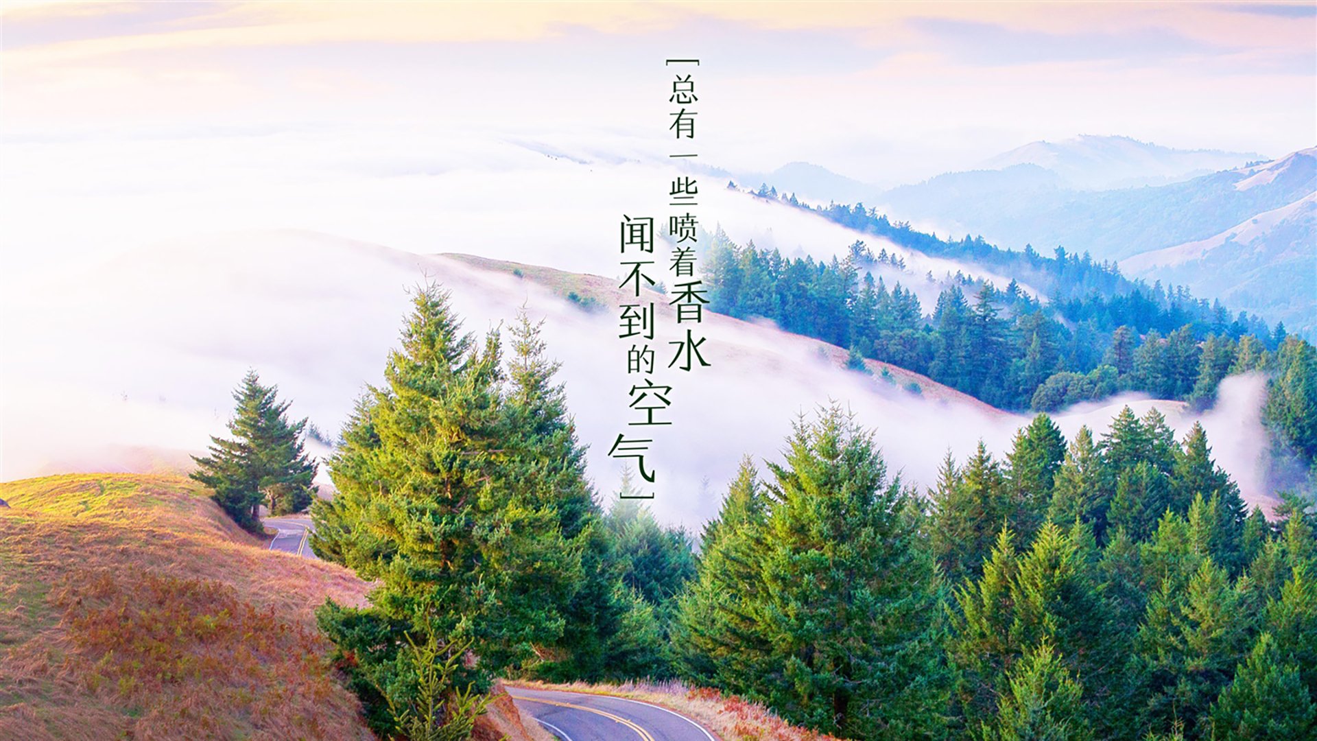 克罗地亚马术协会设立“Sinjska Alka”奖学金，支持传统马术研究。